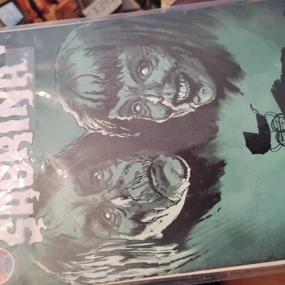 Graphic Novel with Green Cover